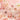 DEAR DAHLIA Blooming Edition Jelly Single Eyeshadow 1.3g Eyeshadow SHOPPING IN KOREA