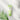Ariul Apple Cider pH Balancing Cleansing Foam 150ml Cleansing Foam SHOPPING IN KOREA