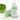 Sungboon Editor Green Tomato Pore Lifting Ampoule 30ml Ampoule SHOPPING IN KOREA