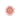 DEAR DAHLIA Blooming Edition Jelly Single Eyeshadow 1.3g Eyeshadow SHOPPING IN KOREA