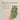 Steambase Tea Tree Scalp Healing Tonic 100ml Tonic SHOPPING IN KOREA