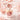 DEAR DAHLIA Blooming Edition Paradise Dual Palette Blusher Duo 8 g Blusher SHOPPING IN KOREA