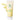 AMPLE:N Purifying Shot Pumpkin Enzyme Peeling Gel 100ml Peeling Gel SHOPPING IN KOREA