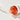 Round Lab Medicinal Bean Panthenol Ampoule 50ml Special Ampoule SHOPPING IN KOREA