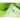 Ariul Apple Cider pH Balancing Cleansing Foam 150ml Cleansing Foam SHOPPING IN KOREA