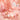 DEAR DAHLIA Blooming Edition Lip Paradise Sheer Dew Tinted Lipstick 3.4g Lipstick SHOPPING IN KOREA
