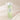 Beauty of Joseon Green Plum Refreshing Toner: AHA + BHA 150ml Toner SHOPPING IN KOREA