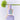 Missha Layering Fit Pine Phyto Mucin Serum B.B Cream 30ml BB Cream SHOPPING IN KOREA