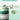 SOME BY MI AHA-BHA-PHA 30 Days Miracle Truecica Clear Pad 125ml, 70P Pads SHOPPING IN KOREA
