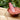 Hanyul Red Rice Essence Skin 150ml Essence SHOPPING IN KOREA
