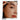 EQUMAL Live Brow Texturizer 4.5g Brow styling gel SHOPPING IN KOREA