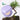 Missha Layering Fit Pine Phyto Mucin Serum Cushion 15g Cushion Foundation SHOPPING IN KOREA