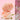 donggubat Eau de Toilette Objet Perfume Bar – Mellow Rosa Garden 150g Cleansing Bar SHOPPING IN KOREA