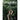 Longtake Basil & Vetiver Refreshing Shampoo 300ml Shampoo SHOPPING IN KOREA