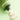 Dr.G Green Deep Foaming Scrub 120g Scrub SHOPPING IN KOREA