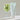 Beauty of Joseon Green Plum Refreshing Cleanser 100ml Cleanser SHOPPING IN KOREA