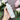YUNJAC Whole Plant Effect Essential Toner 150ml Toner SHOPPING IN KOREA