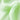 Beauty of Joseon Light Serum Centella + Vita C 30ml Serum SHOPPING IN KOREA