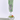 kuoca Basil Sorbet Hand Cream 50ml Hand Cream SHOPPING IN KOREA