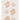The Thim Skin Cover Concealer Duo 6.3g Concealer SHOPPING IN KOREA