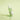 ongredients AC Balancing Serum 50ml Serum SHOPPING IN KOREA