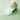 BeginS by JUNGSAEMMOOL Pore Clear Pads 220g x 70 sheets Pad SHOPPING IN KOREA