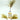 ecliss Solrepair Vial Ampoule 50ml Ampoule SHOPPING IN KOREA