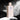 Rawquest Barrier Enhancing Toner to Essence 200ml Toner SHOPPING IN KOREA