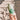 MOO100 Bamboo Mint Shampoo 500ml  Shampoo SHOPPING IN KOREA