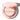 KEYTH Silky Fit Cover Cushion SPF40 PA++ 15g 2 colors  Cushion foundation SHOPPING IN KOREA