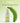 Wellogy Green Banana Serum 40ml  Serum SHOPPING IN KOREA