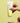 OVERLAPS Ectoin Moist Sun Cream SPF50+ PA++++ 50 ml  Sun Cream SHOPPING IN KOREA