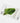 Abib Mild Acidic pH Sheet Heartleaf Fit Mask 30ml