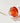 Round Lab Medicinal Bean Panthenol Ampoule 50ml Special  Ampoule SHOPPING IN KOREA
