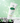 Acnes Daily Deep Cleanser  Skin Cleansing Acnes
