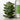 Aromatica Soothing Aloe Vera Gel 300ml or 500ml  Sunscreen Aromatica