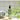데저트 에센스 Desert Essence Clean Face Wash - Original  Skin Cleansing 데저트 에센스