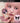 [NEW/] 3CE MOORE FACE BLUSH  Decorative cosmetics 3CE