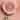 3CE Mood Recipe Face Blush  Decorative cosmetics 3CE