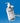 Physiogel DMT Body Lotion 400ml  Body Care Physiogel