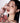 KATE The Eye Color 52 Colors  Decorative cosmetics KATE