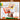 [NEW COLOR] ROM& | MIPI BERGER DANCE  Decorative cosmetics rom&nd