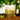 I'm from Mugwort Cream 50g  Skin Care I'm from