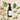 DALEAF Velour Perfume Essence Rainy Day 90ml  Hair Care DALEAF