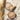 rom&nd Better Than Shape Shading  Decorative cosmetics rom&nd
