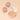 peripera Clear Jelly & Powder Sunshine Cheek 2 Types  Decorative cosmetics peripera