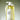 Dalyph Chlorella Barrier Root Relaxing Shampoo 1000ml  Hair Care Dalliesse