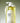 Dalyph Chlorella Barrier Root Relaxing Shampoo 1000ml  Hair Care Dalliesse