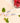 Mentholatum Soft Lips Raspberry Lip Balm  Decorative cosmetics Mentholatum