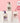 Milkbaobab Perfume Body Lotion 250ml  Body Care MILKBAOBAB